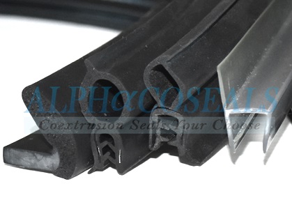 รับผลิตพลาสติก Co-Extrusion.JPG